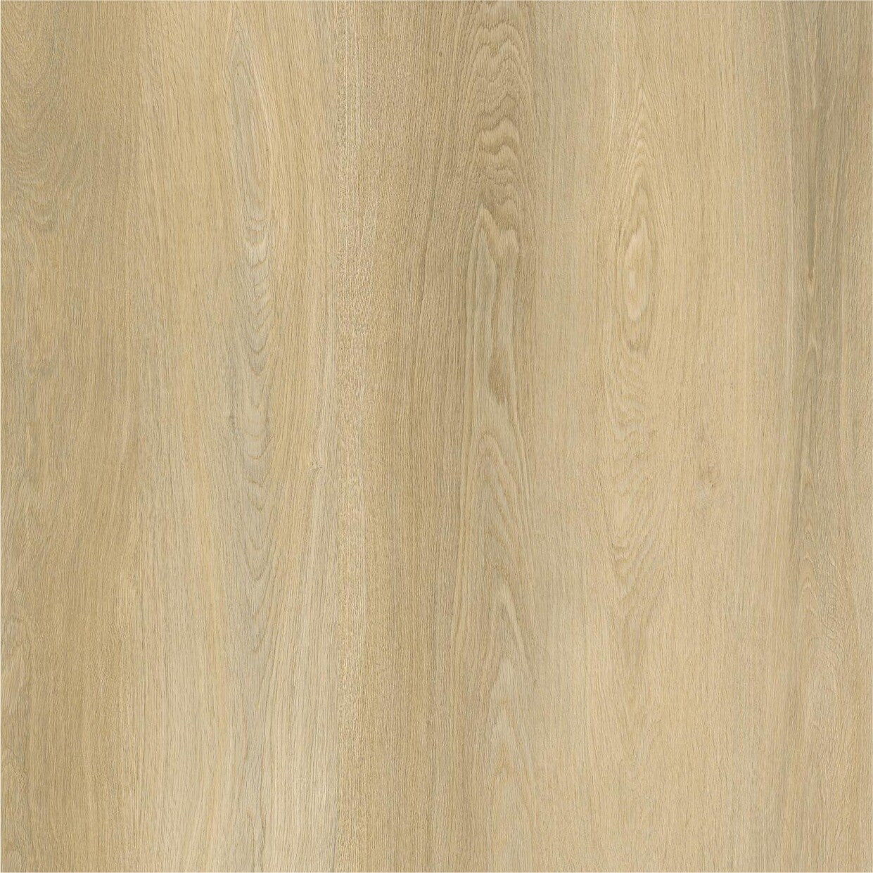 Nordic - Sample - Easy SPC