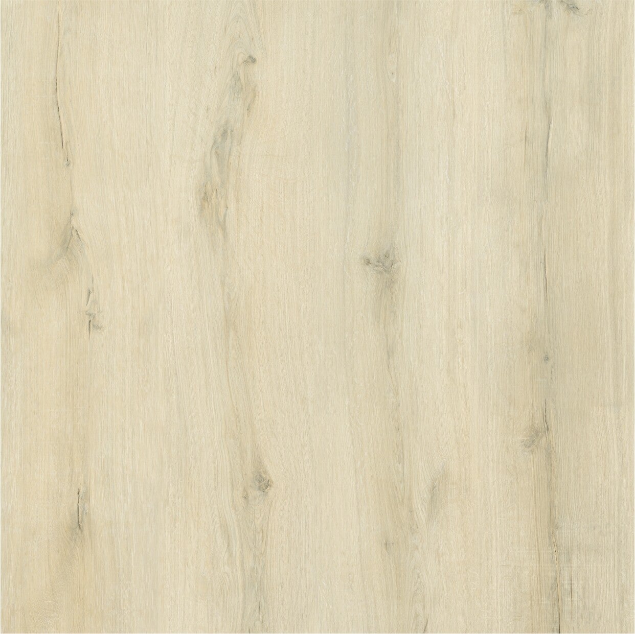 Creamy - Sample - Easy SPC