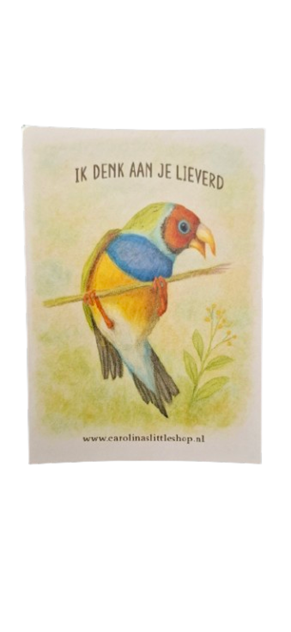 Kaartje - tropische vogel