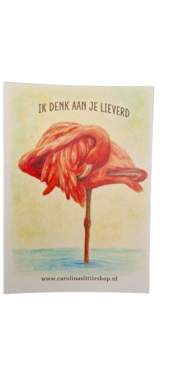 Kaart - flamingo