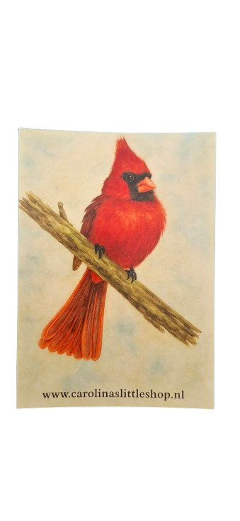 Kaart - Rode kardinaal