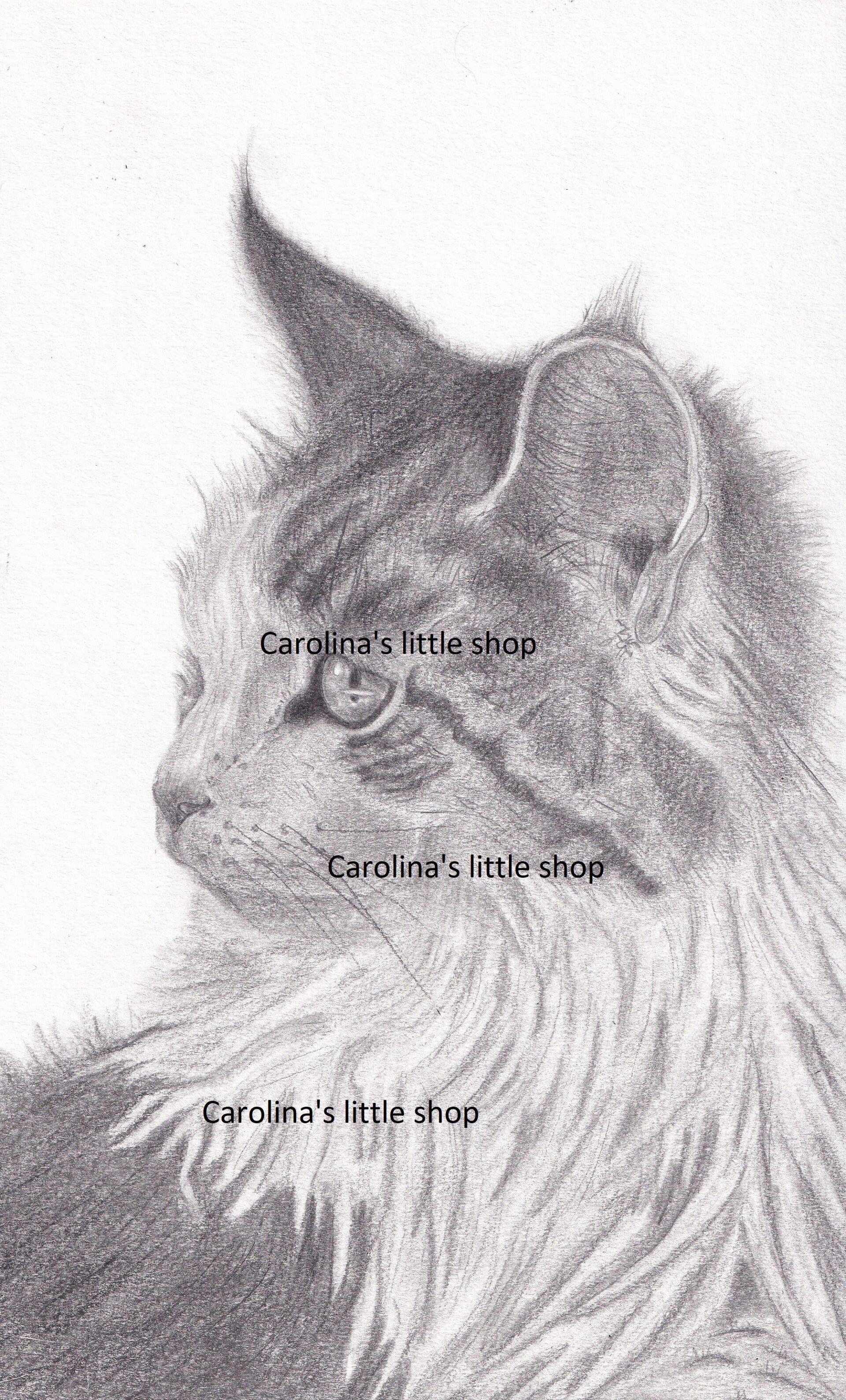 Potlood tekening van een kat