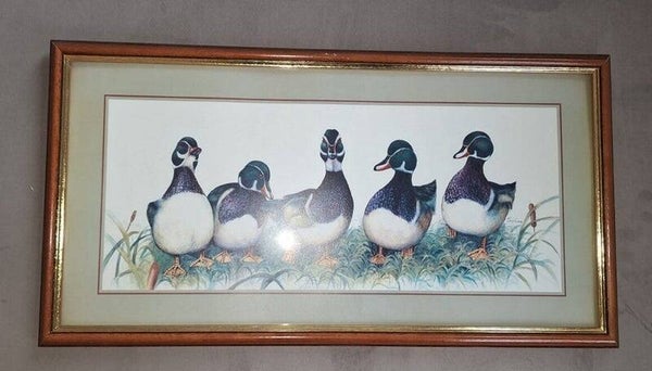 Prent eendjes.  nr.AC10