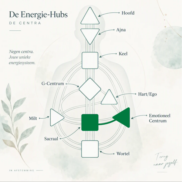 Module 2: Signature & Autoriteit