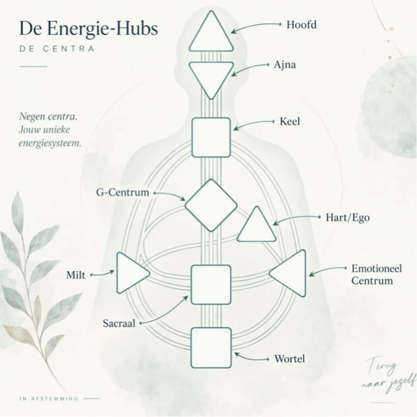 Module 1: De Basis: Type en Strategie