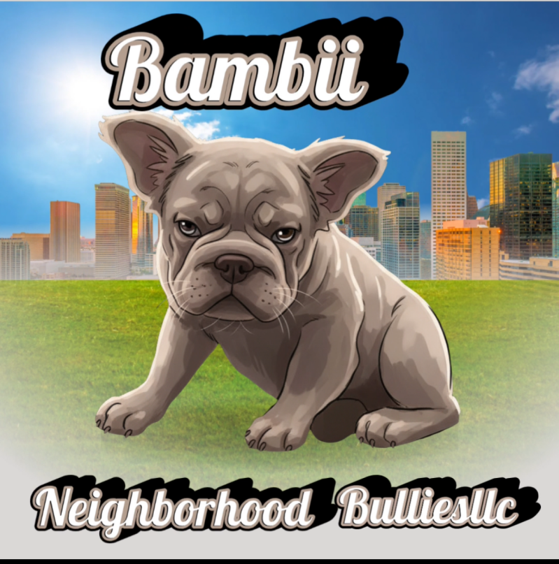 Custom logo