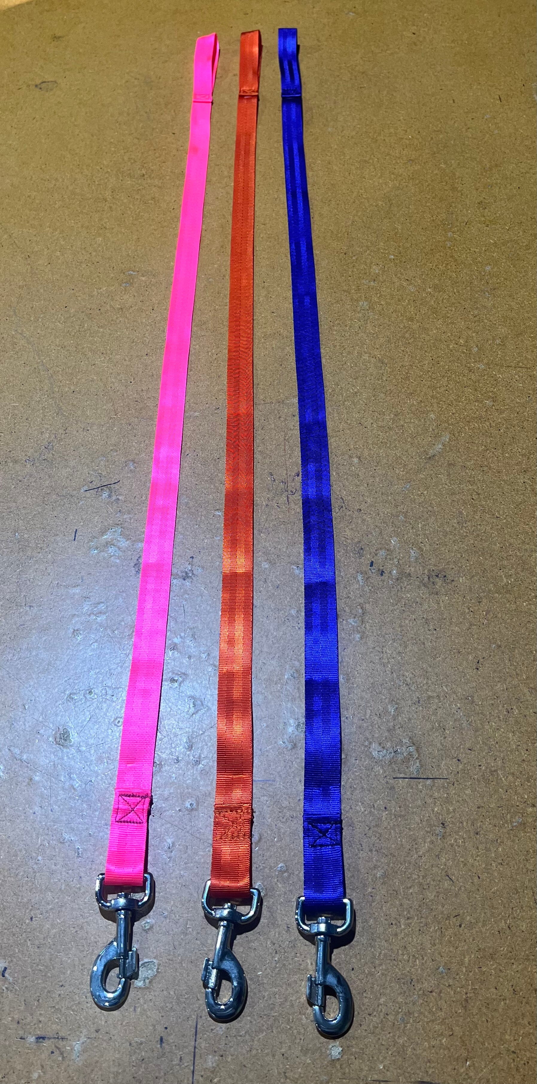 Domestic Dog Lead