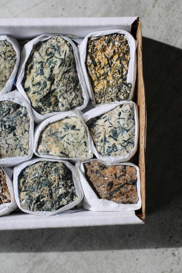 Epidoot op matrix (intuïtief gekozen)