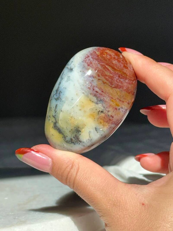 Oceaan jaspis palmsteen