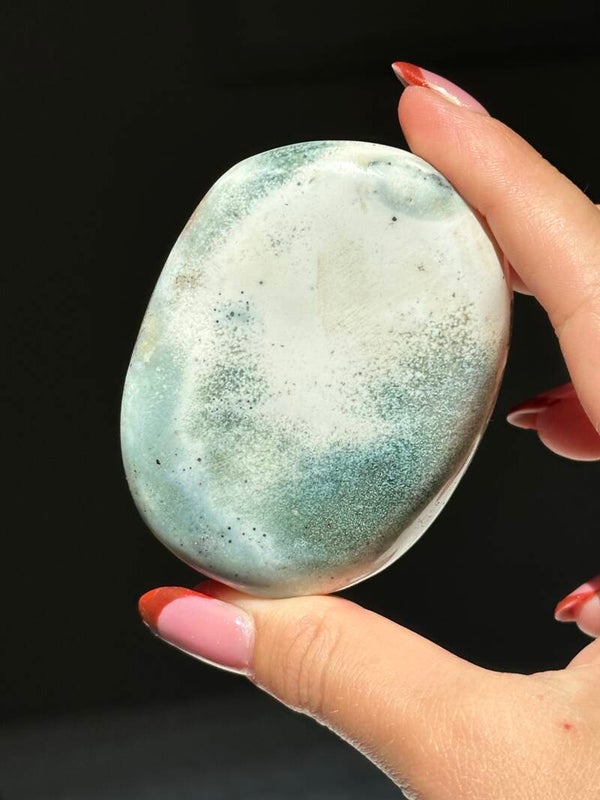 Oceaan jaspis palmsteen