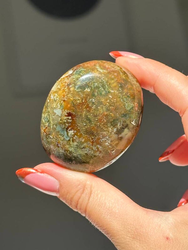 Oceaan jaspis palmsteen