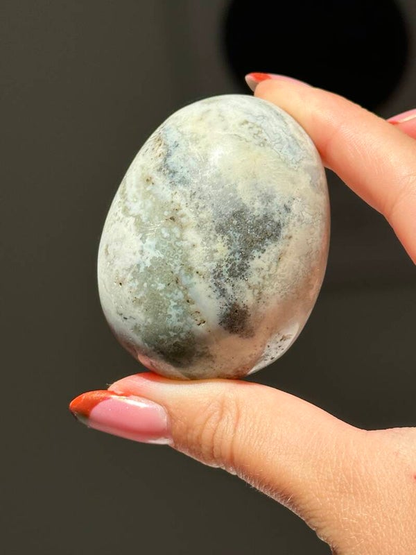 Oceaan jaspis palmsteen