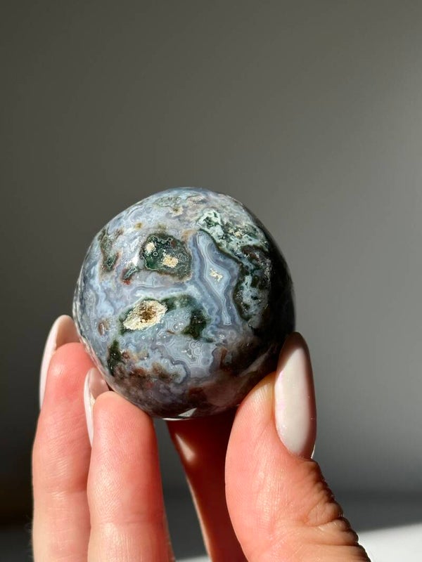 Ocean jaspis palmsteen (orbiculair)