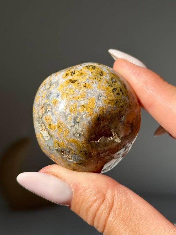 Oceaan jaspis palmsteen (orbiculair)