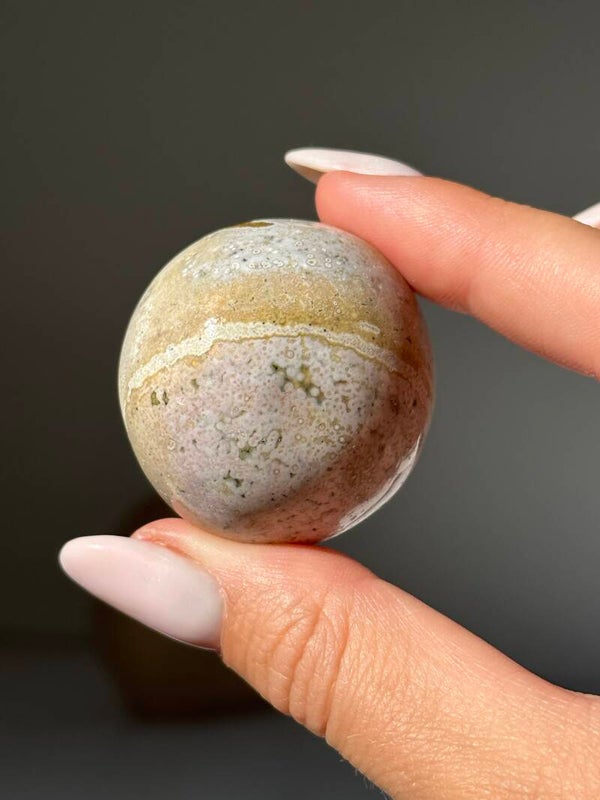 Oceaan jaspis palmsteen (orbiculair)