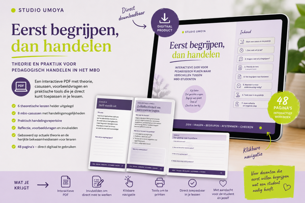 Interactieve gids voor pedagogisch kijken naar verschillen tussen mbo-studenten