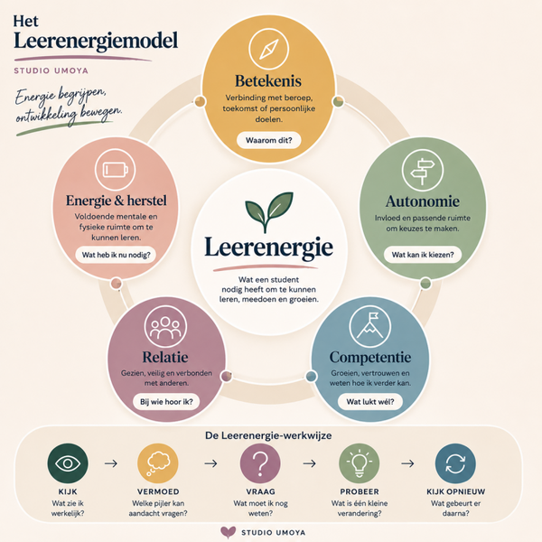Waar lekt de leerenergie?