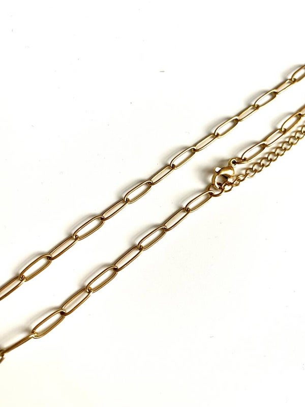 Stainless steel ketting Goud