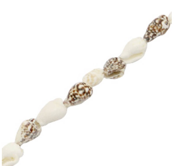 Trompet schelpjes brown & white 50 stuks