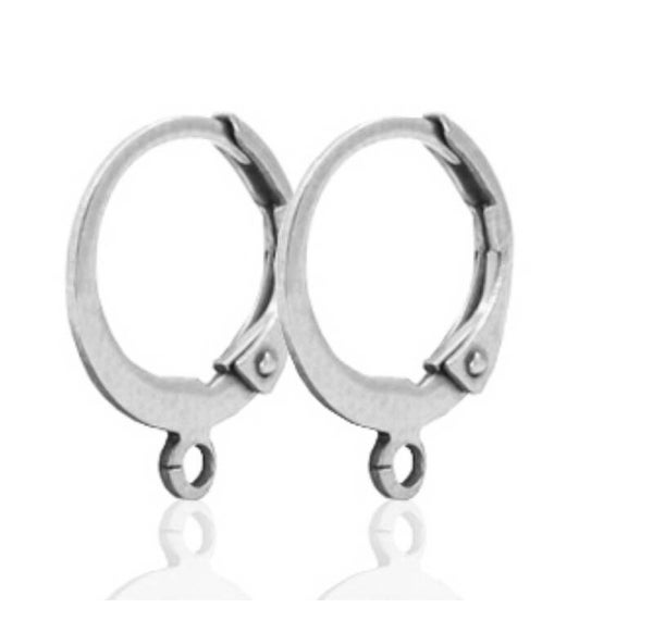 Stainless steel oorringen met oog rvs