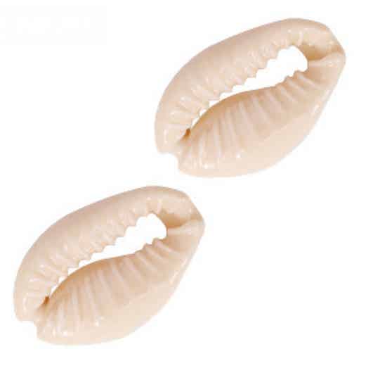 Kauri schelpjes sand rose