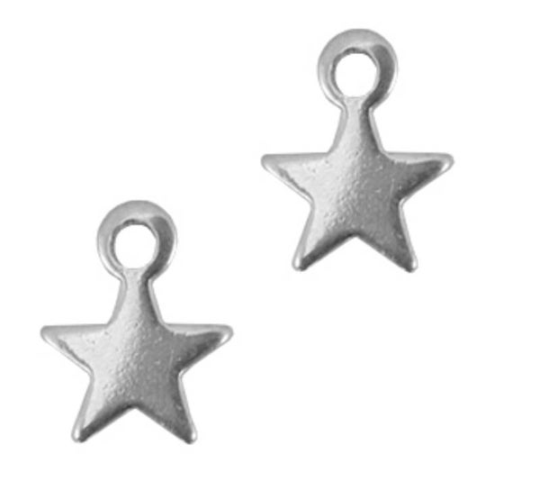 Stainless steel star bedel zilver 10x8mm