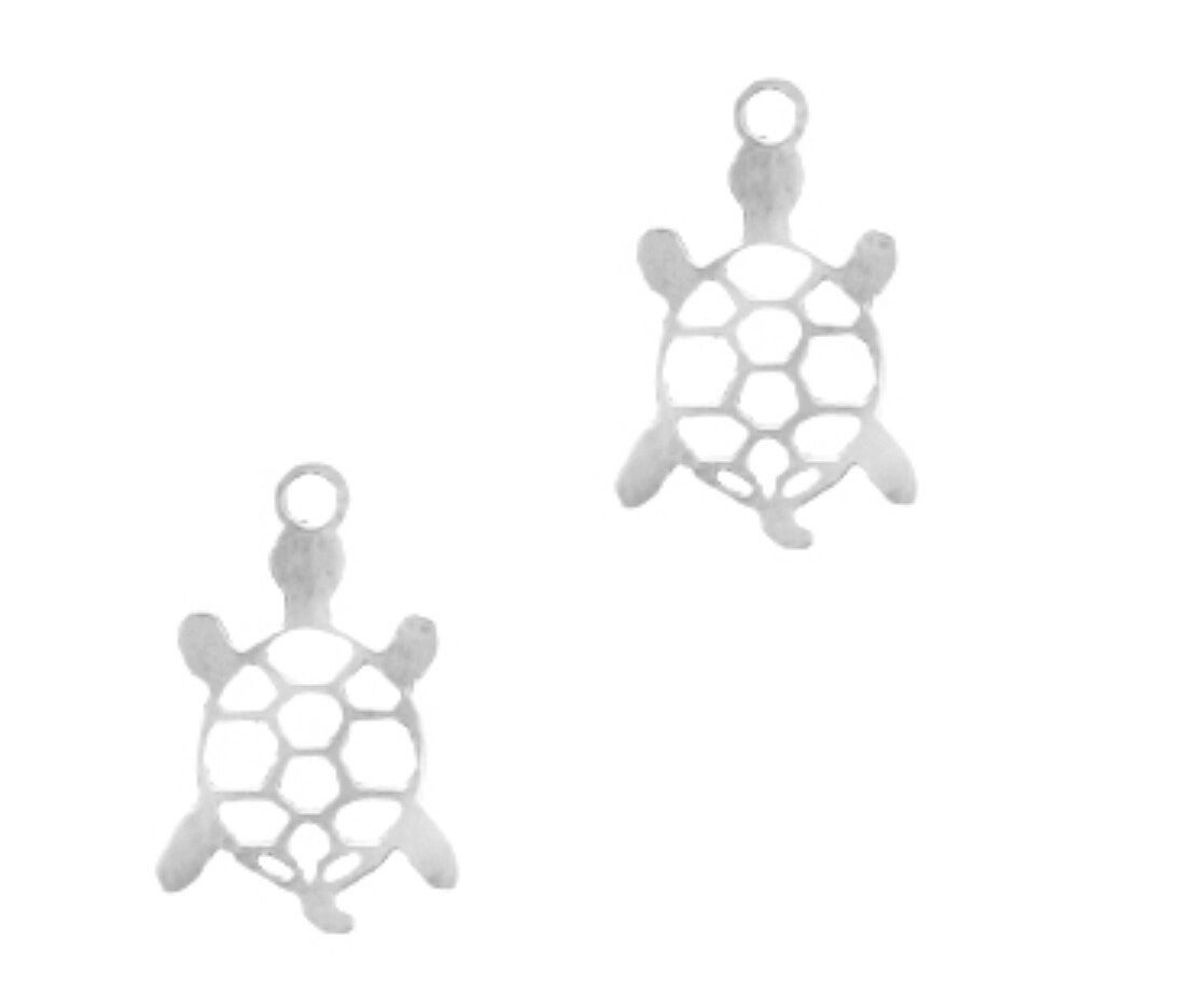 Stainless steel ( RVS ) bedel schildpad zilver 