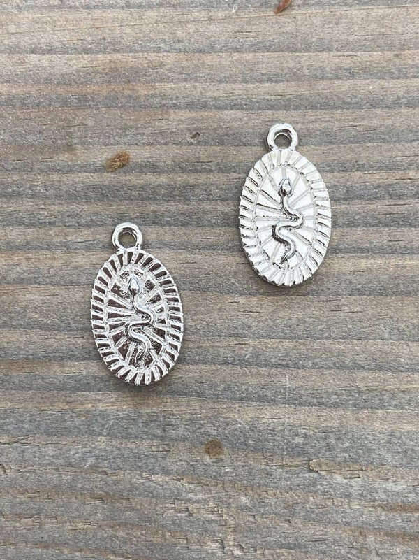 Bedel / hanger slang coin zilver