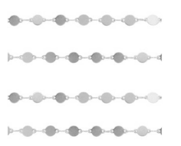 Stainless steel jasseron coin zilver 6x4mm 