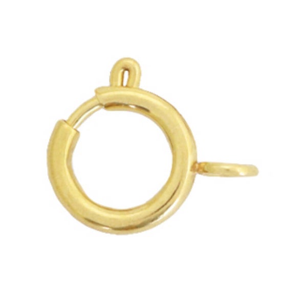 Stainless steel slotje goud 12x14mm 