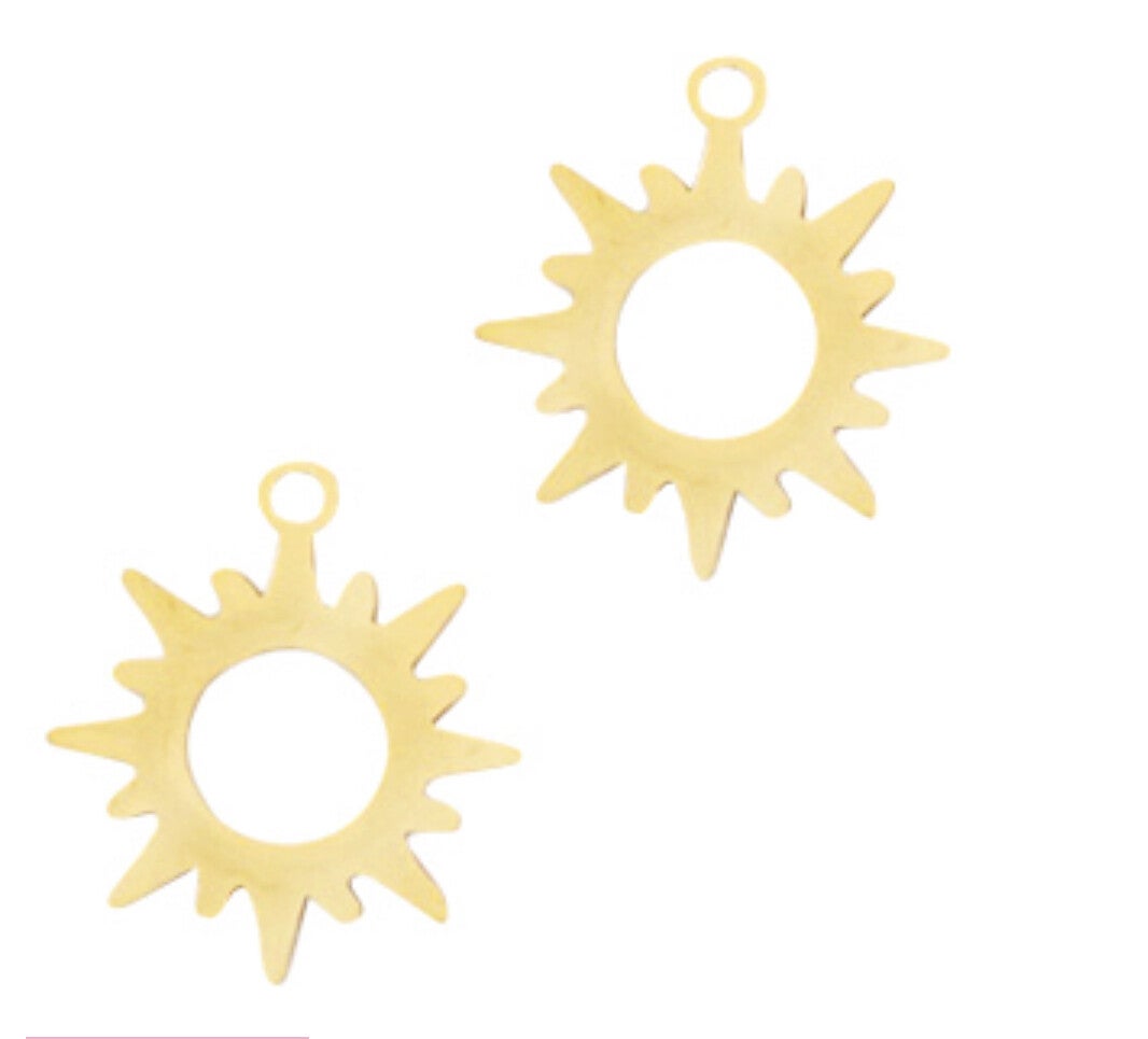 Stainless steel bedel ( Rvs) zon goud 