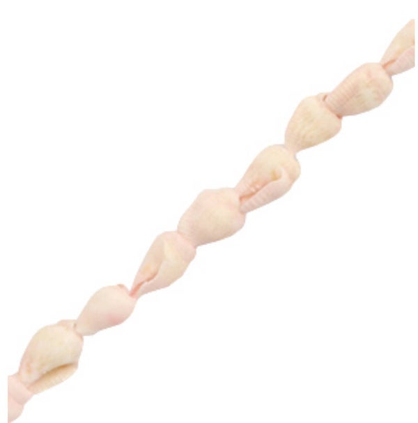 Trompet schelpjes light pink 50 stuks 