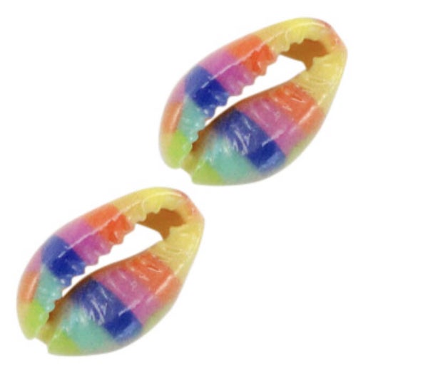 Kauri schelp rainbow multicolor