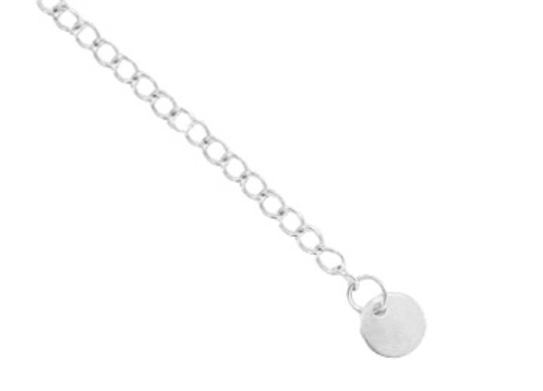 Stainless steel verlengketting coin zilver