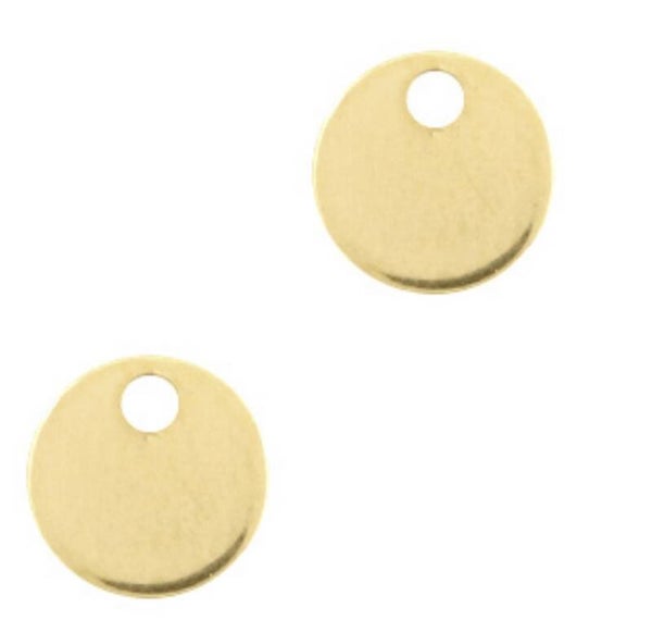 Stainless steel muntje / bede goud 8mm