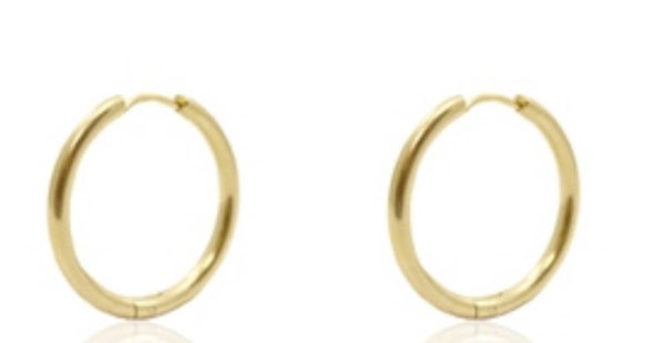 Oorbellen stainless steel (rvs) 15mm