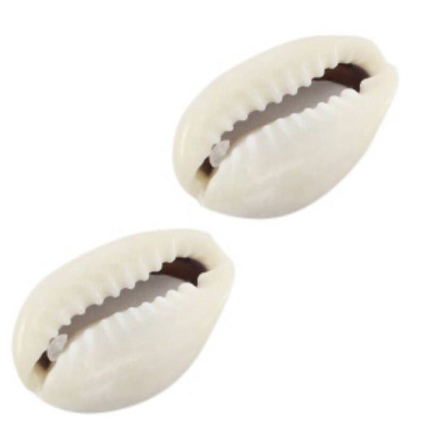 Kauri schelpjes small 14-18x10mm. Ivoor grijs 
