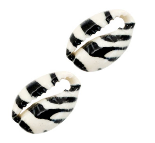 Kauri schelp Black & white Tiger 