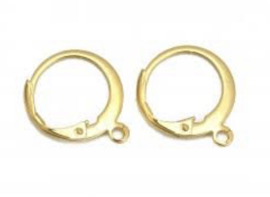 Oorringen met oog stainless steel/ rvs goud