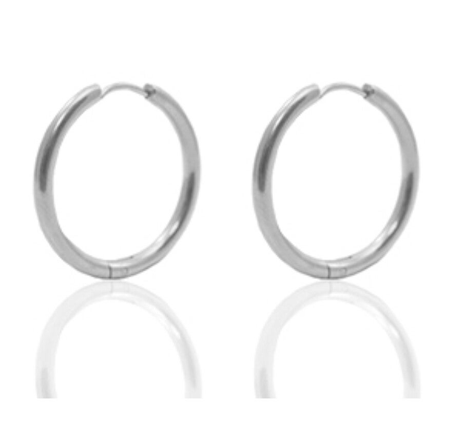 Oorbellen stainless steel (rvs) 20mm