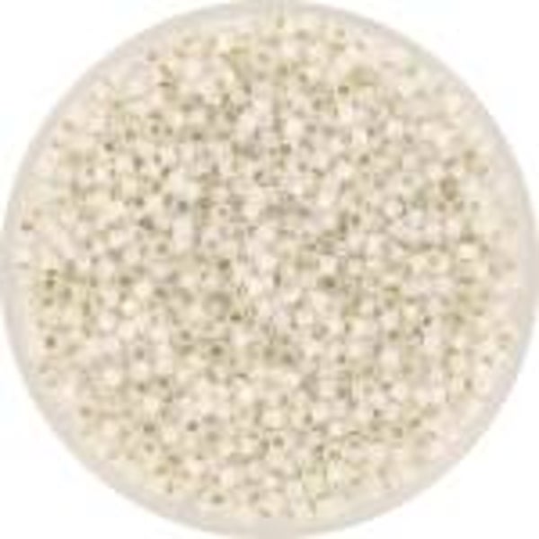 Miyuki delica’s 11/0 gilt lined white opal KR-MIDE11-221