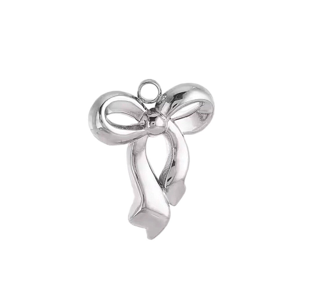 Bedel/hanger stainless steel strik zilver