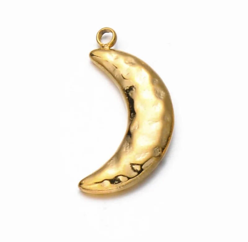 Bedel stainless steel maan Goud