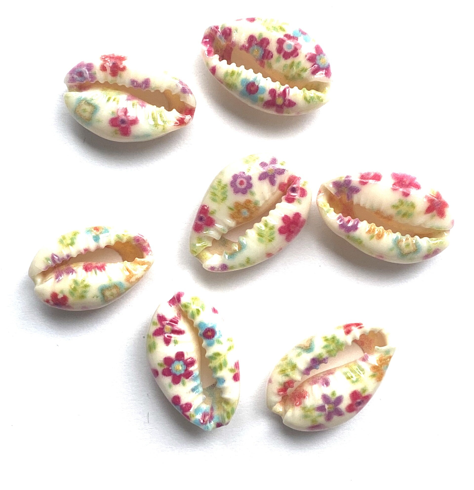 Kauri schelp flower. 