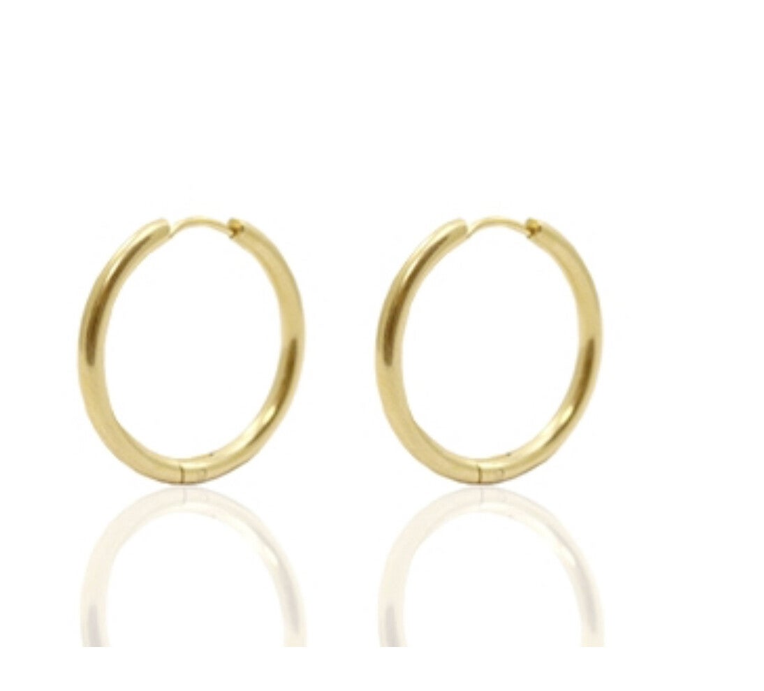 Oorbellen stainless steel (rvs) 20mm goud