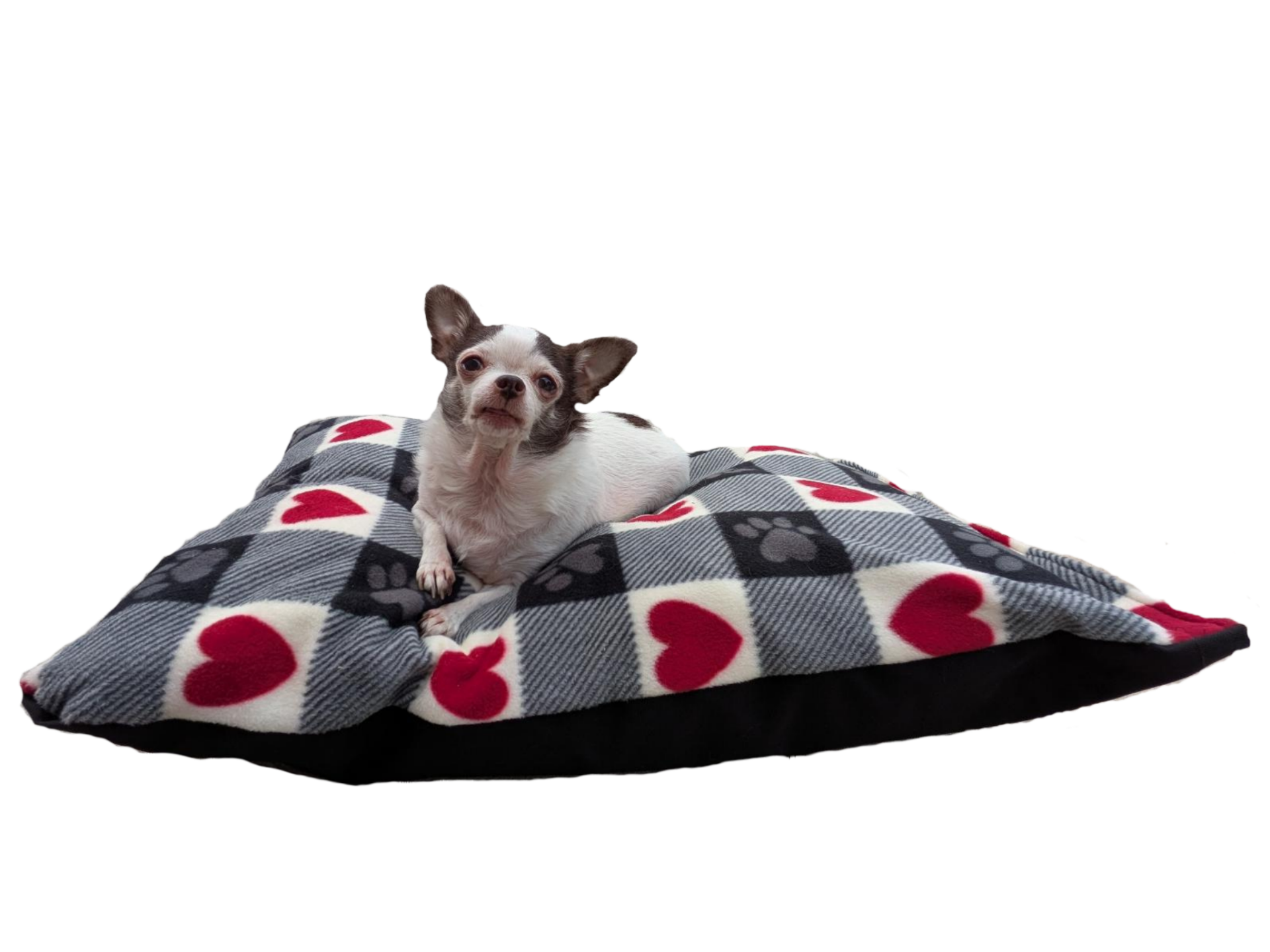 My Izzy Bed Small 20" x  25" Pets up to 18lbs