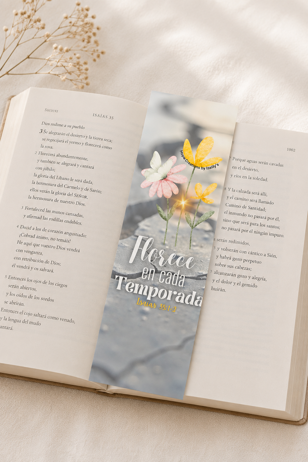 Florece en cada temporada