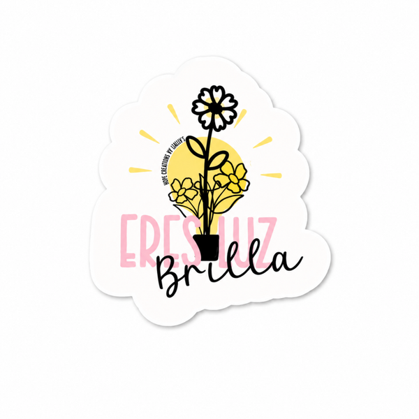Eres Luz, Brilla