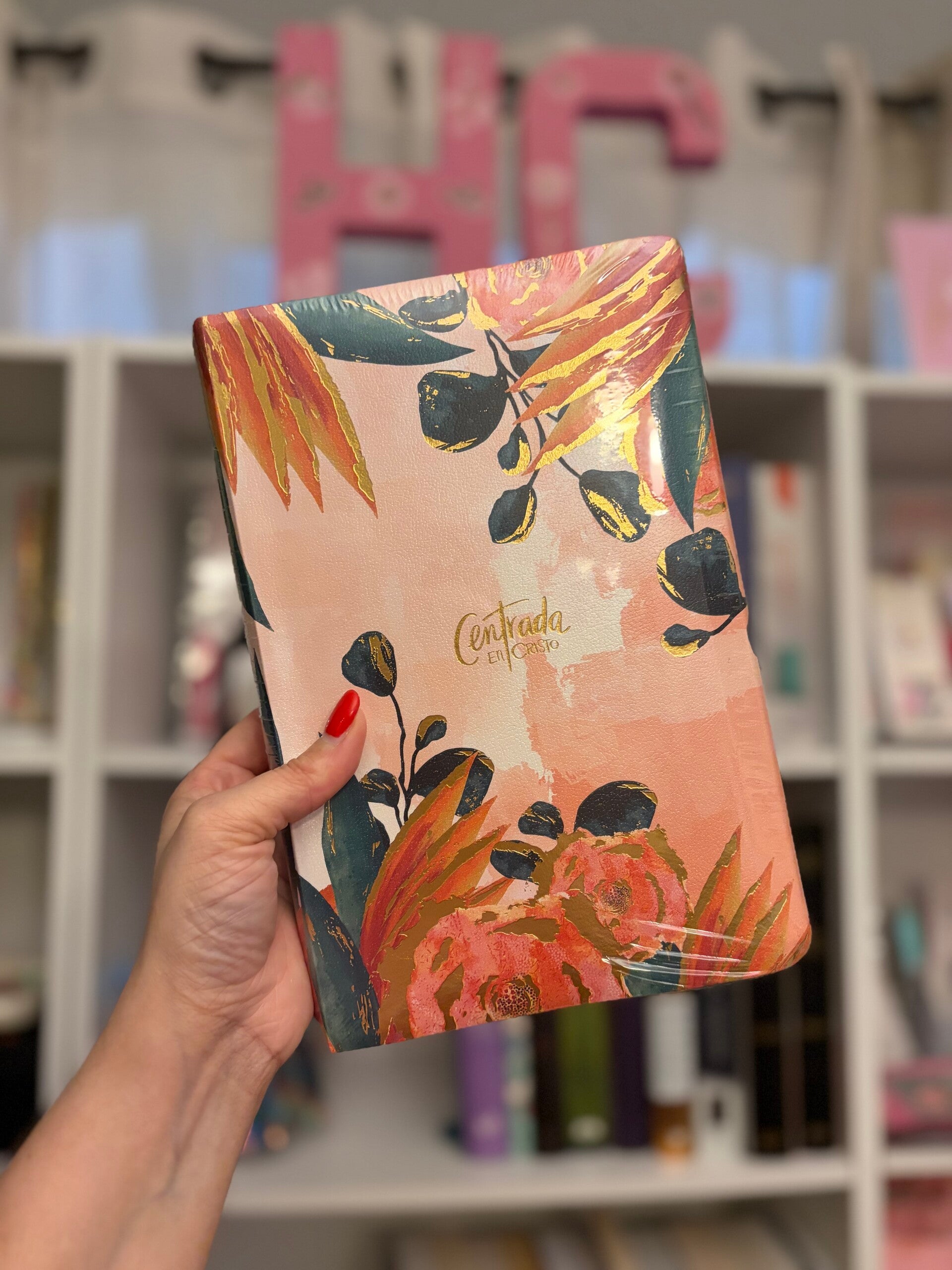 Biblia Centrada en Cristo RVR 1960