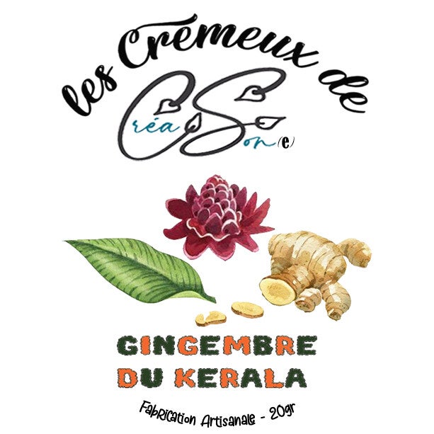 Gingembre du Kerala